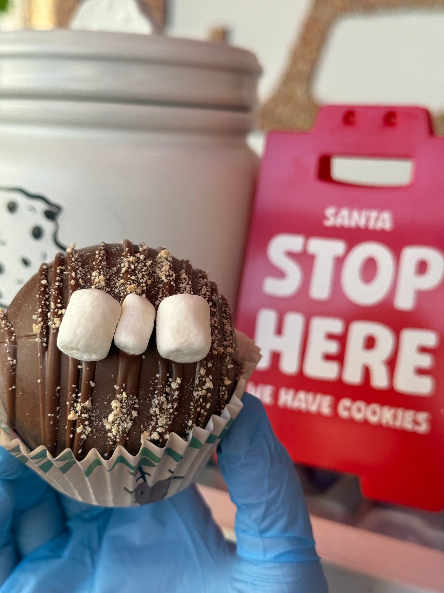 S'MORES HOT COCOA BOMB