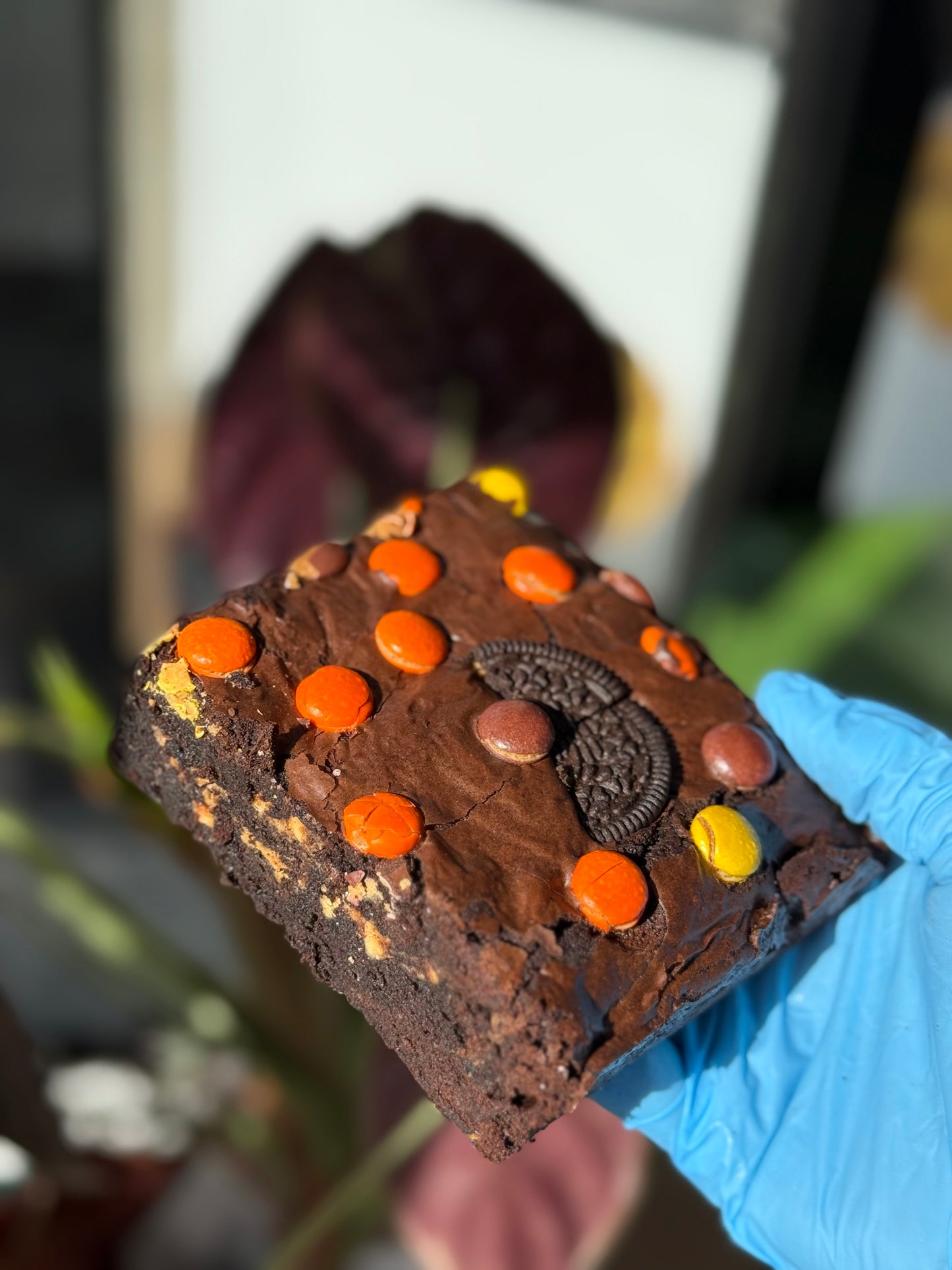 ROBERT BROWNIE JR