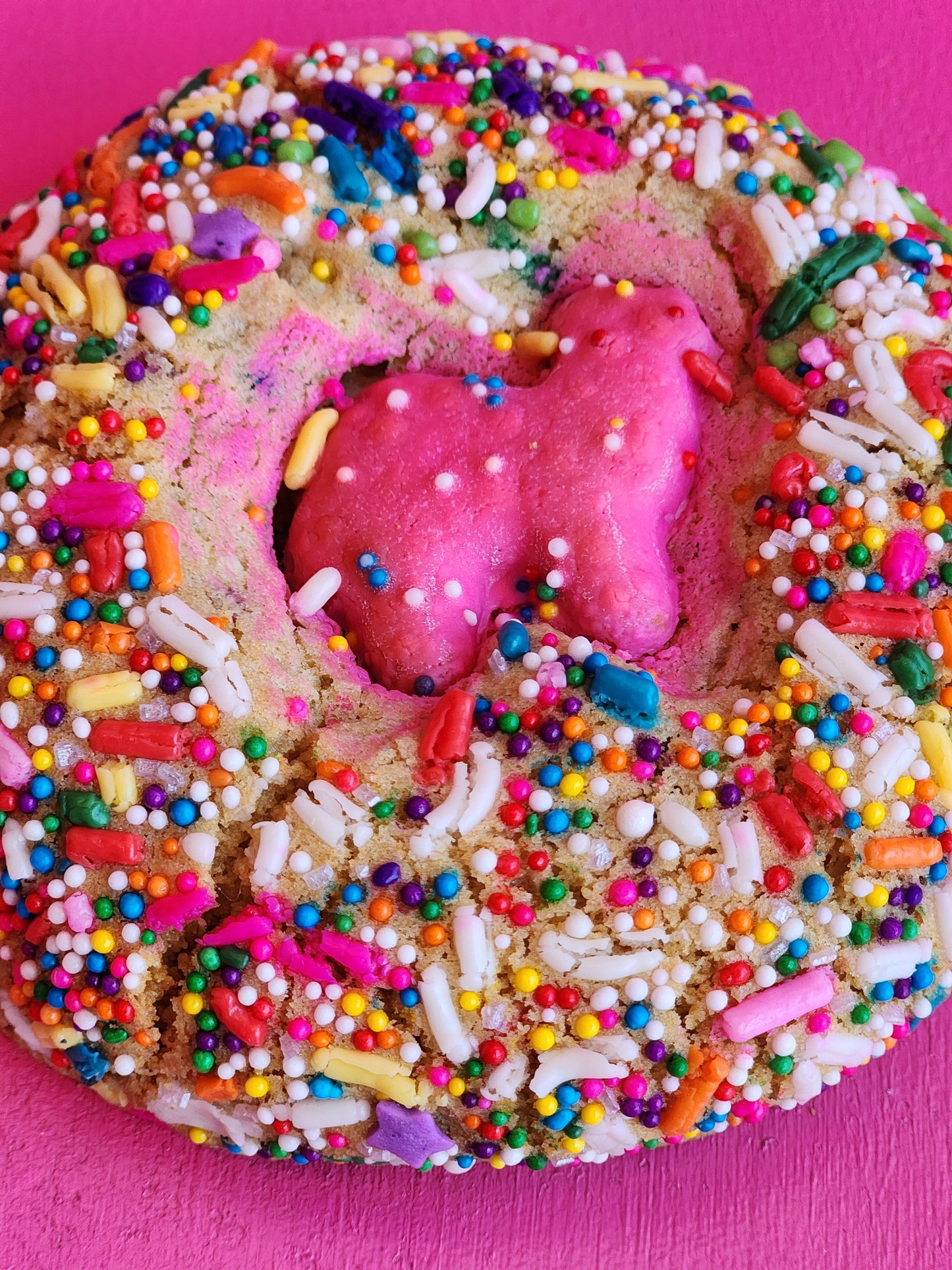 PARTY ANIMAL COOKIE
